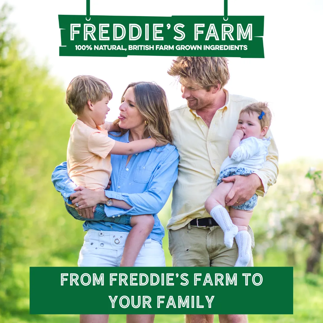 Freddie's Farm Fruit Shapes - Multipack: Blueberry / 5 x 20g